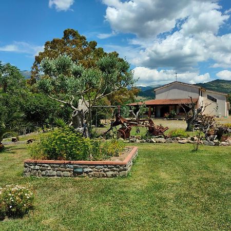 Azienda Agrituristica Verdevalle Cicerale Bagian luar foto