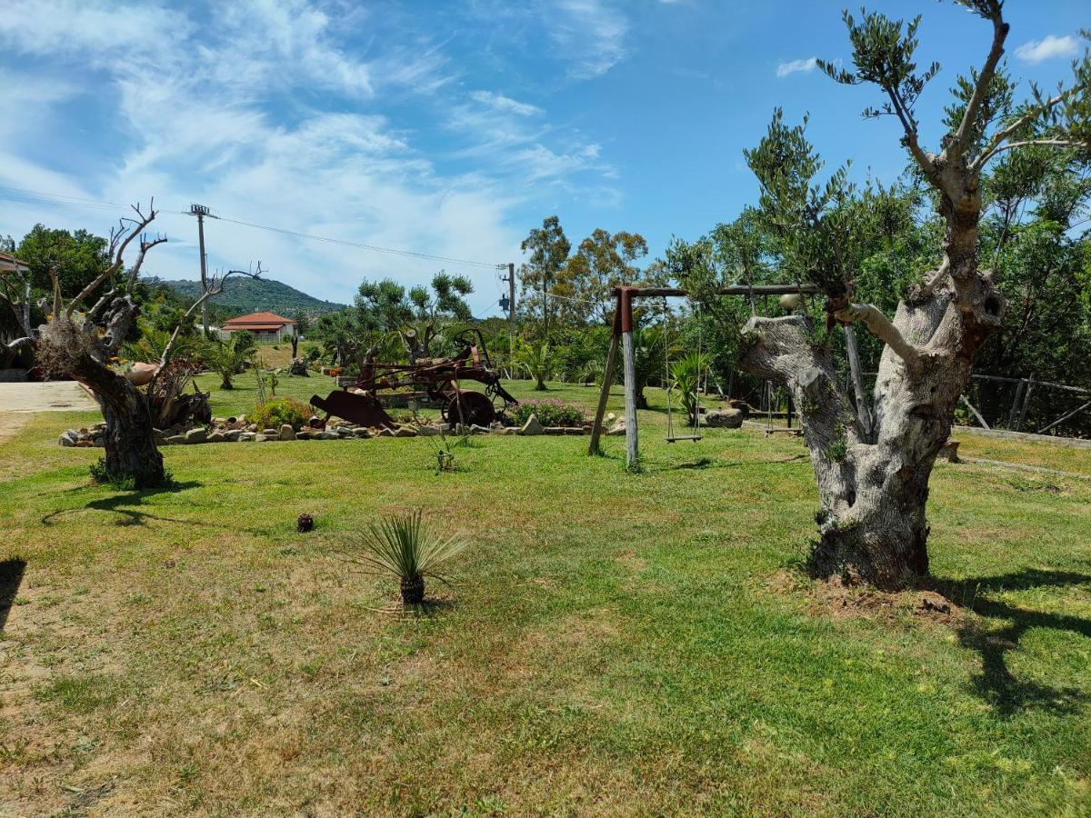 Azienda Agrituristica Verdevalle Cicerale Bagian luar foto